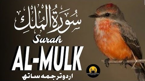Surah Al-Mulk سورة الملك | Heart-Touching | Sleep & Spiritual Healing | Urdu Tarjuma Qari Mansoor