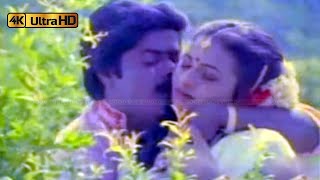 பாட்டுக்குள்ளே பாட்டிருக்கு பாடல் | Paatukulle Pattu song | Mano, S. Janaki | Thanga Manasukkaran .