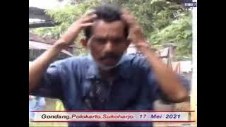 kebo giro jaipong ngaplak josss