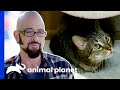 This Cat's Incredible Transformation Surprises Jackson | My Cat From Hell