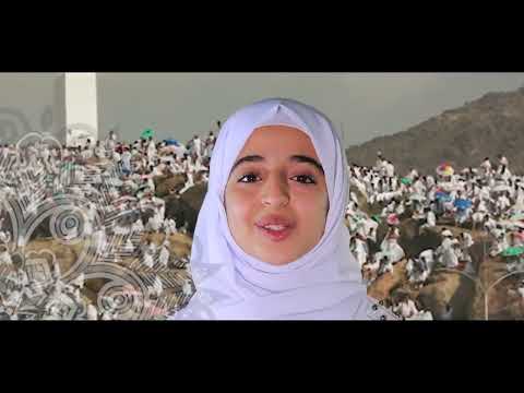 بث مباشر مع ملاك فتحي: نور في الأجواء