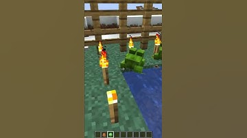 How To Breed Frogs in Minecraft 1.19 The Wild Update #shorts