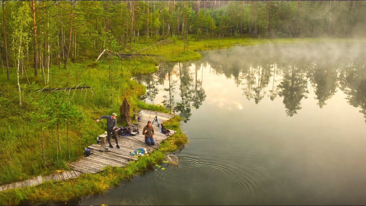 LYNŲ ROJUS Dzūkijoje. Naktinė žūklė Ešerinio ežere. Žvejyba plūdine ir dugnine.