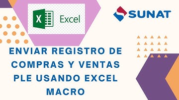 Enviar Libros Electrónicos Compras y Ventas PLE | Excel Macro