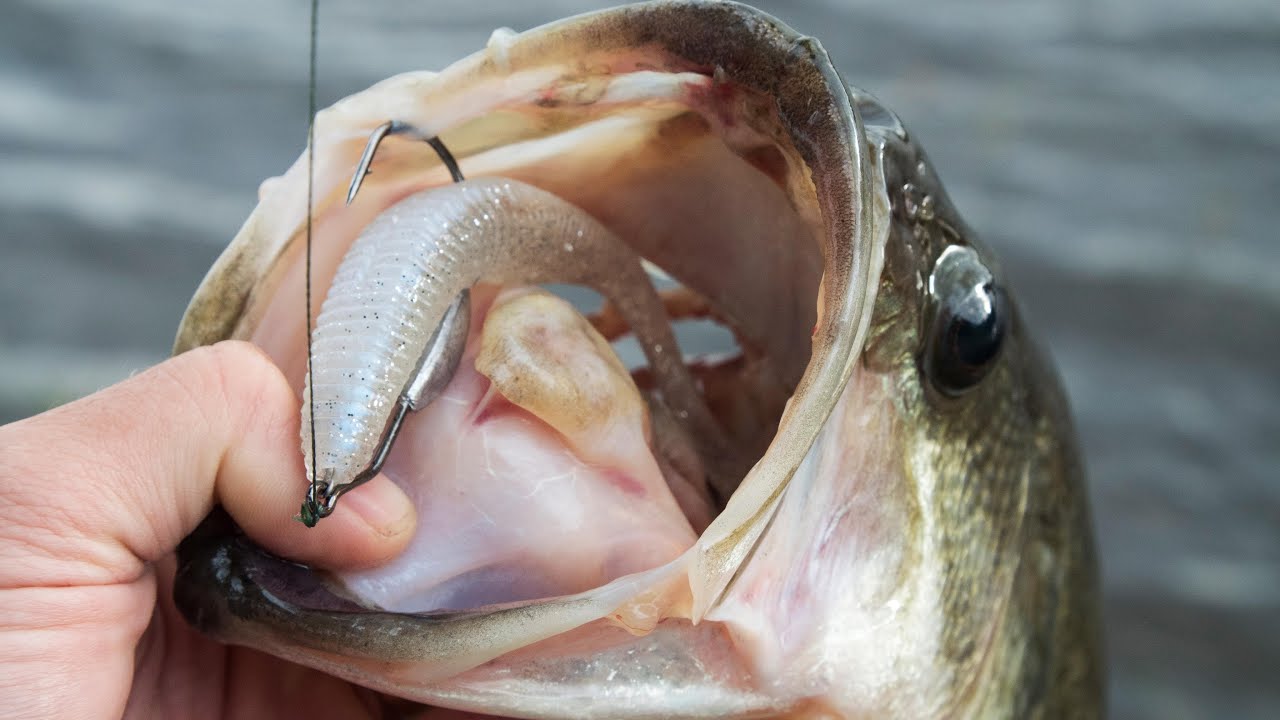Watch Rhythm Wave Swimbait Review Video on