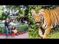   lucknowzoo  lucknow zoo full tour  lucknowcity nehaashishtiwari