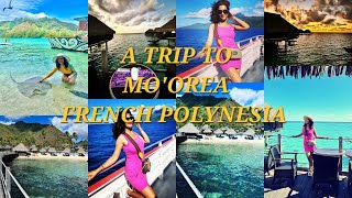 Trip to Moorea | Hilton | French Polynesia | Travelvlog | Vacation | @HiltonMooreaLagoonResortSpa