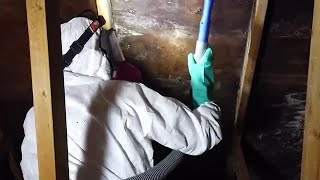 Learn To Prevent Against Mold Growth During The Heat Of Summer