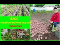 🍄🌺ВЛОГ/Новые подставочки под фуксии/ремонт колодца/докопали картофель/грибная пора/клубника/позитив