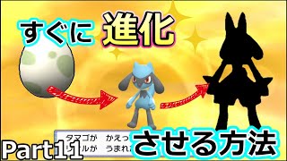 ポケモンbdsp リオルのたまごをもらってから最速でルカリオに進化させる方法 実況動画 Part11 Youtube