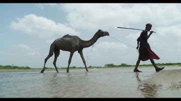 The Whickers Showreel 2024