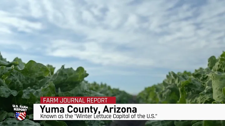 Arizona Farmer Says U.S. Immigration System Has Been Broken for Nearly 40 Years