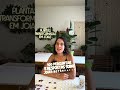 Como desidratar flor da hortênsia para resina (colar, bandeja, chaveiros, quadros…)