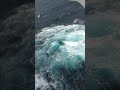 🌈 Rainbow at Sea⛵ | Sailor 360 | Buautiful Sea Sight #Shorts