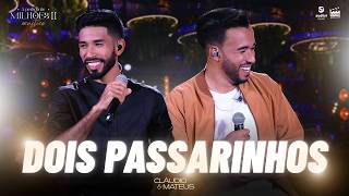 Cláudio e Mateus - DOIS PASSARINHOS  (DVD A Pedido de Milhões II)