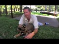 Australia Zoo's New Tiger Cub Enclosure
