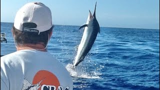 Cairns Heavy Tackle Season 2012