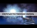 "СВЕРХЪЕСТЕСТВЕННАЯ ЖИЗНЬ" Андрей Яковишин