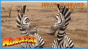 DreamWorks Madagascar | Who is Who? 🦓 |  Madagascar: Escape 2 Africa Movie