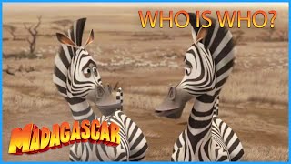 DreamWorks Madagascar | Who is Who? 🦓 |  Madagascar: Escape 2 Africa Movie