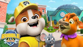 Rubble Builds A Vet Clinic To Help Animals W Mix, Charger & Wheeler Rubble & Crew