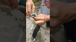 Download Lagu Pasang Busur Wau - Bunyi Busur MP3