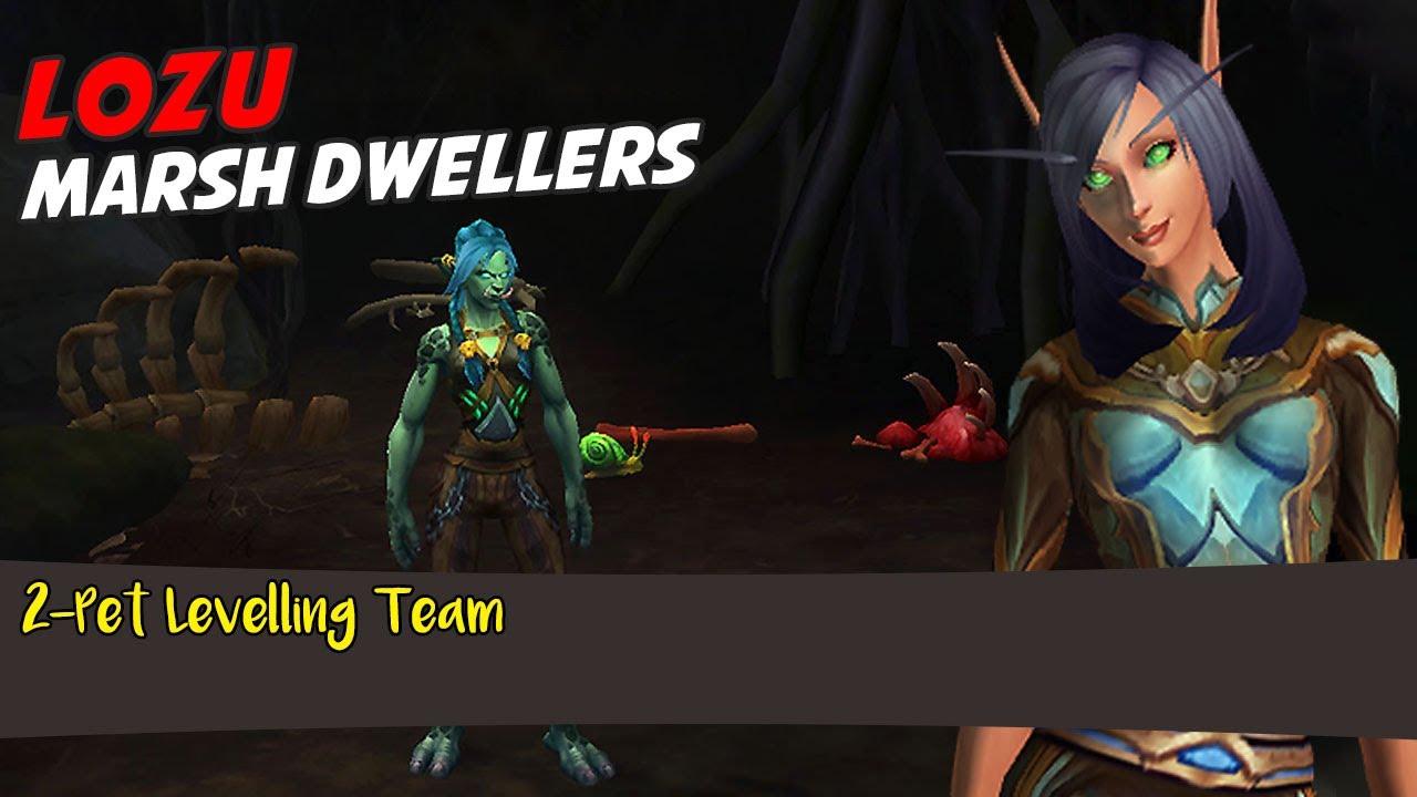 Lozu - 2 Pet Levelling Team