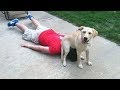 CRAZY & FUNNY ANIMAL VIDEOS 2019 - LAUGH super hard NOW!