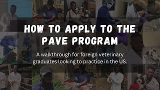 How to Apply to the PAVE Program for Foreign Veterinarians