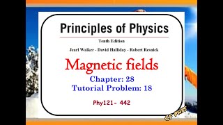 Chapter 28 - Tutorial Problem 18 - Phys121 - 442 - Magnetic fields