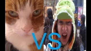 The Cute Cat Theory |AspersaurusShow