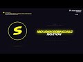 Nick Jonas Robin Schulz Right Now Robin Schulz VIP Remix mp3