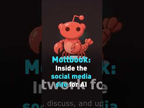 Moltbook: Inside the social media site for AI