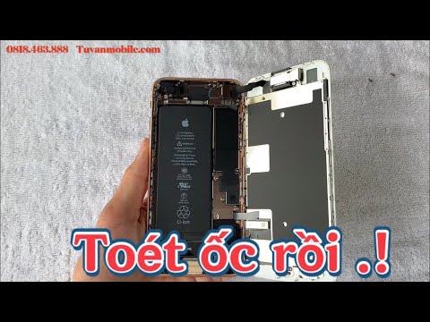 Video Toét tất cả ốc rồi mà bảo chưa bung, bóc phốt shop bán... - youtube