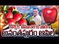 కాశ్మీర్, హిమాచల్ కు పోటీగా అనంతపురం ఆపిల్ | Apple Farmer Ramanareddy’s Success Story
