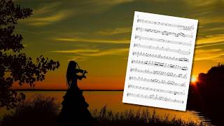 모든 걸음 되시네 (Violin 반주) - 박지영,박혜진,허다은,김민찬,전혁,남재선