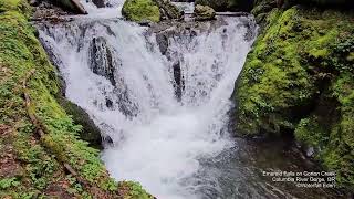 Emerald Falls on Gorton Creek Oregon