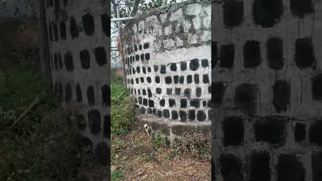 Subscribe to my chenal plz. 