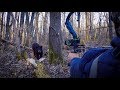 Dangerous bear catch clean cook the most amazing meat ever