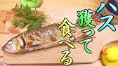 投網でハス 夏はやっぱりハス大漁 激アツ 塩焼きうまいぞ 投網18 琵琶湖 River Fishing Cast Net Youtube 投網でハス 夏はやっぱりハス大漁 激アツ 塩焼きうまいぞ 投網18 琵琶湖 River Fishing Cast Net Youtube