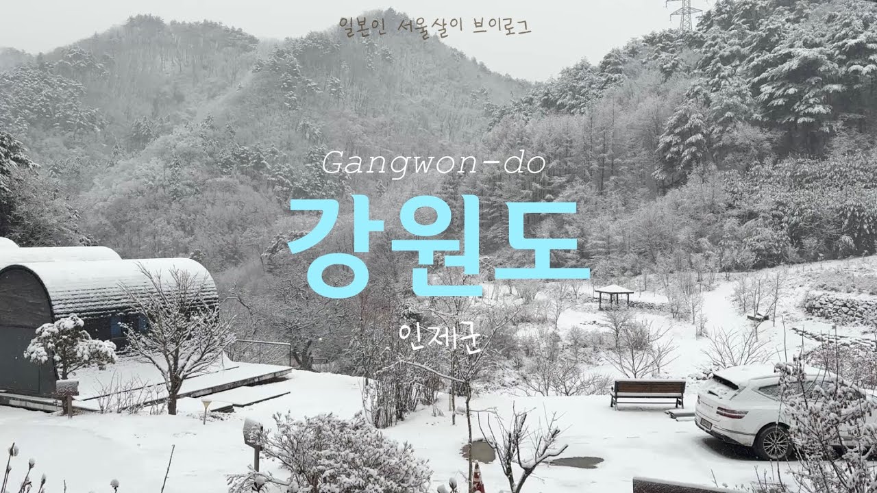 【ソウル在住日本人Vlog】冬の江原道旅行🌨️ | 雪山コテージで過ごす週末