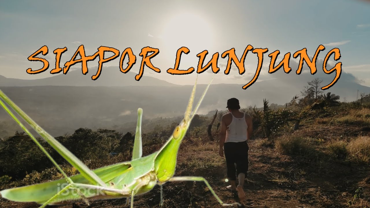 SIAPOR LUNJUNG-Harapan Harahap-Official Music Video.