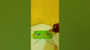 Marble ASMR | reverse video beads, oddly satisfying #shorts #marble #marblerun