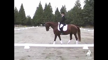 Three Loop Serpentine at Trot