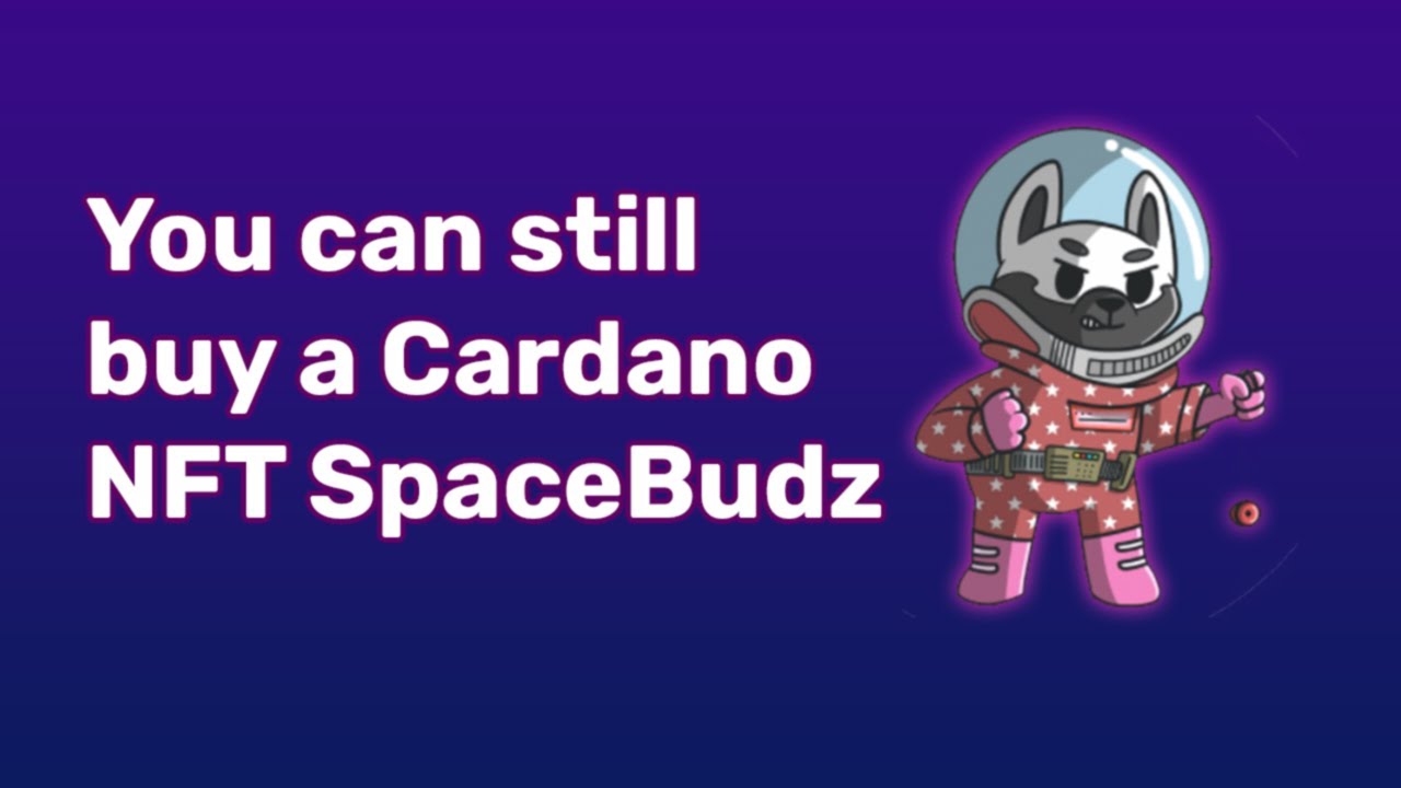 SpaceBudz! Yes, I got one. Tradable NFT on Cardano