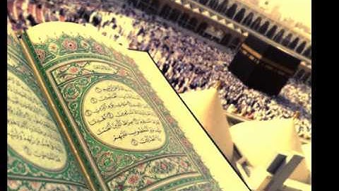ابراهيم الزيات سورة الحجرات