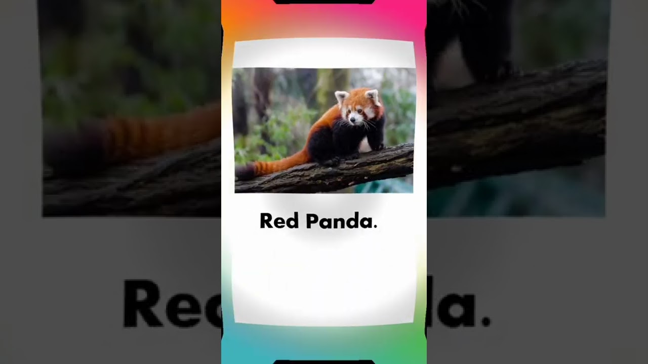 Places in News | UPSC 2023 | Current affairs | 