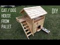 Paletten kedi - köpek evi yapımı // Making a cat house from palette // FREE PLAN