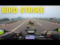 Bird Strike on Bundelkhand Expressway   Chitrakoot To Delhi 700 Km Solo