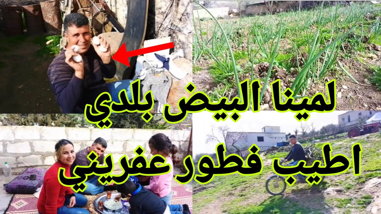 #اطيب#فطور #عفريني مع بيض بلدي 🥘😍